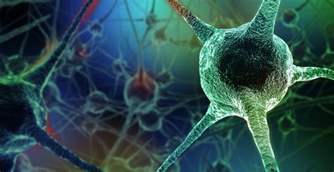 Image result for Science