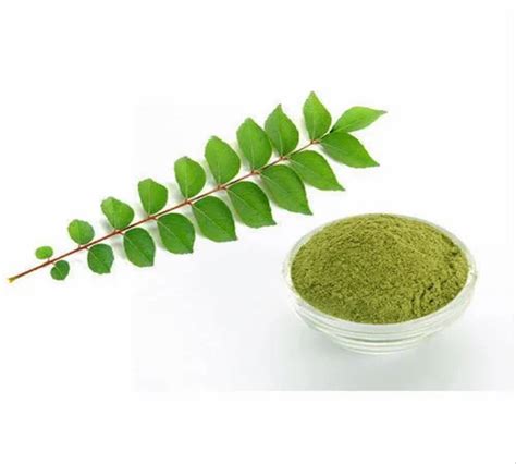 Green Rich Export India - Manufacturer of Herbal Powder & Ayurvedic ...