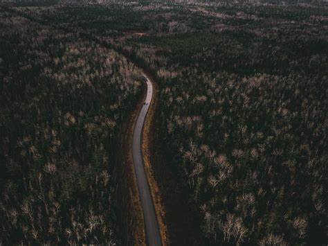 Download wallpaper 1024x768 road, trees, aerial view, turn standard 4:3 ...