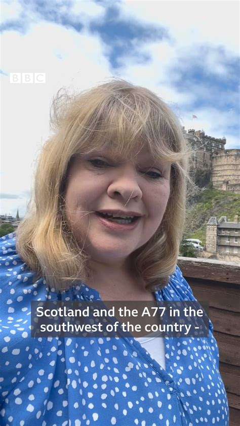 Rezultat imagine pentru Dogs Programmes