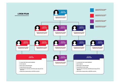 Organization Chart Vector 的图像结果