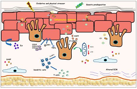 Regenerative Medicine-Based Treatment for Vitiligo: An Overview