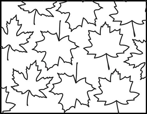 Maple Leaf Coloring Pages
