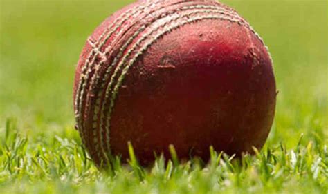 TN: 25-year-old Navy Officer Dies Afer Being Hit by Cricket Ball Near ...
