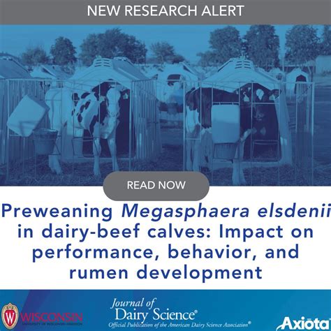 Preweaning Megasphaera elsdenii supplementation in dairy-beef calves ...