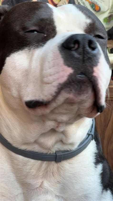 Hindi Funny Video Videos, Download The BEST Free 4k Stock Video Footage ...