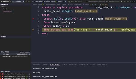 Image result for How To Debug In Pl/Sql Developer