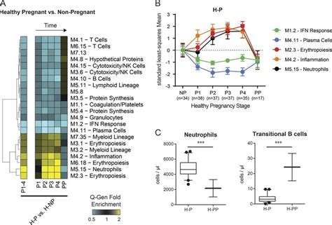 Increased neutrophil and decreased IFN and plasma cell signatures ...
