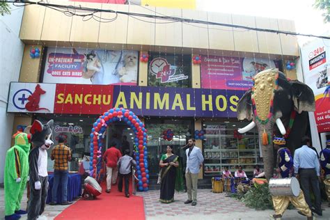 Sanchu Animal Hospital in Adyar,Chennai - Best Veterinary Hospitals ...