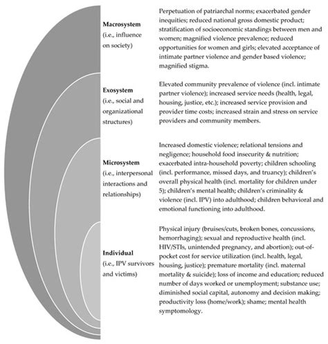 Identifying the Impact of Intimate Partner Violence in Humanitarian ...