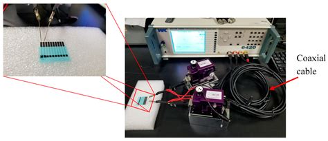 An Immunosensor for the Detection of ULBP2 Biomarker