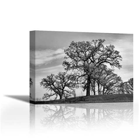 Karmakara Parkside - Fine Art Print on Fine Art Canvas Stretched ...