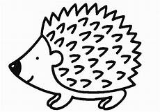 igel ausmalbilder zum drucken kostenlos ausmalbilder igel kostenlos malvorlagen zum ausdrucken igel ausmalbilder zum drucken kostenlos ausmalbilder igel kostenlos malvorlagen zum ausdrucken