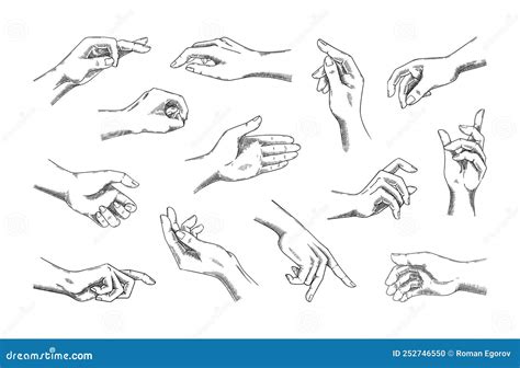 Diagram Of Hands And Arms