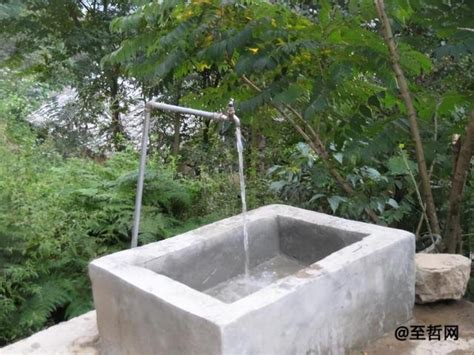 农村井水最好净化方法（井水变黄,什么办法变清） - 至哲网