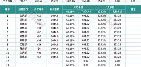 社保缴费明细表Excel模板_千库网(excelID：142683)