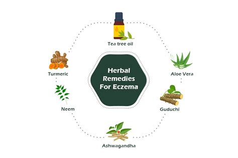 Types of Eczema