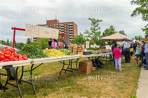 Local Farmer Market 的图像结果