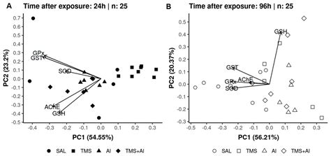 Toxicological Effects of Thimerosal and Aluminum in the Liver, Kidney ...