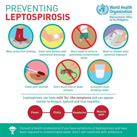 Leptospirosis-Signs, Symptoms, Complicstions And Treatment