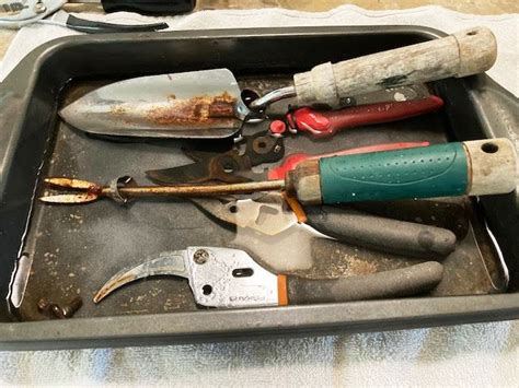 Image result for How to Clean Rusty Tools Left Outside