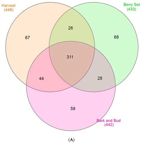 Comparative Analysis of Grapevine Epiphytic Microbiomes among Different ...
