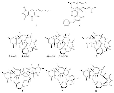 Alkaloids from Marine Fungi: Promising Antimicrobials