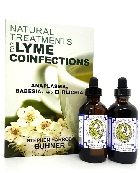 Bab~CORE Protocol - Starter Package with Book - NEW! | Green Dragon ...