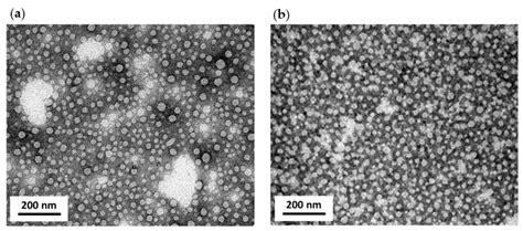 Nanosized Particles Assembled by a Recombinant Virus Protein Are Able ...