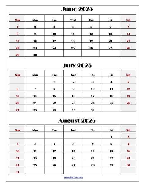 June to August 2025 Calendar Printable PDF | Three Months Calendar