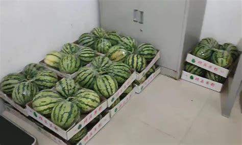 农民拉3000斤白菜2毛1斤，为卖出去恨不得求人购买