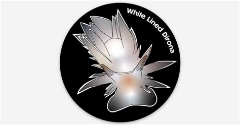 White Lined Dirona Nudibranch Sticker by Marine Maverick | Die cut ...