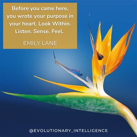 #personaldevelopment #evolution #evolutionaryleadership #emilylane… | Evolutionary Intelligence ...