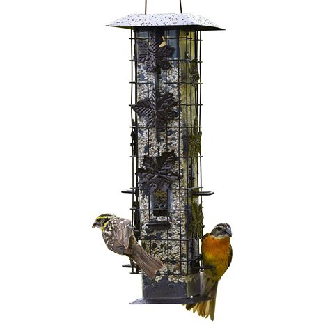 Best Squirrel Proof Bird Feeder 2025: Trusted & Loved Picks!