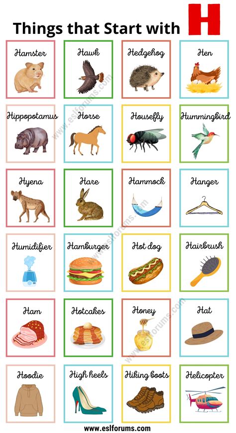 Things That Start With A H at Cornelia Priest blog