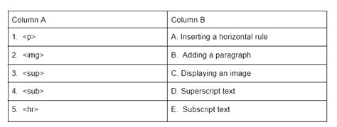 Worksheet: HTML Basics - Computer Application: Class 10 PDF Download