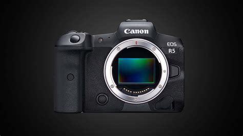 Canon updates firmware for EOS R5, R6, and EOS-1D X Mark III