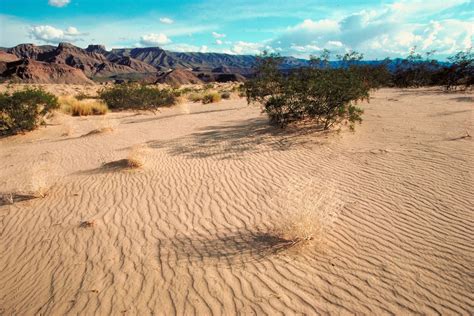 Desert Climate