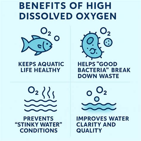 💧 What Is Dissolved Oxygen? – IGS Water Solutions