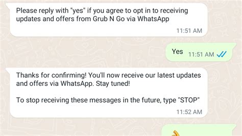 WhatsApp Opt In: Getting Customers to Opt In WhatsApp [Jan 2025]
