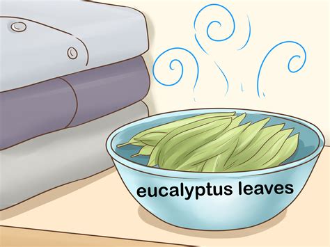 Do Flies Like The Smell Of Vinegar at Alfred Hicks blog