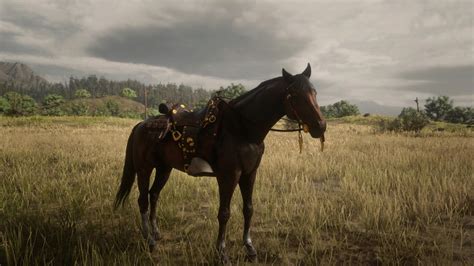 The best saddles in Red Dead Online - Gamepur