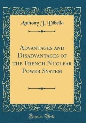 Advantages and Disadvantages of the French Nuclear Power System ...