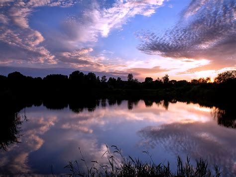 Computer Them 的图像结果