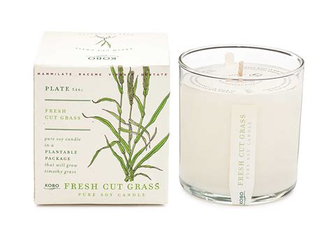 Fresh Cut Grass Candle at Peggy Bradley blog