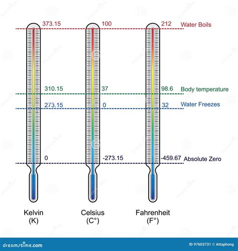 Temperature Scales. Celsius, Fahrenheit And Kelvin Thermometers Vector ...