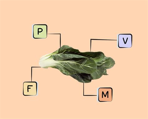 Swiss Chard Nutrients
