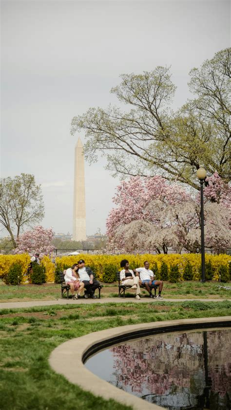 Image result for Spring Landscape