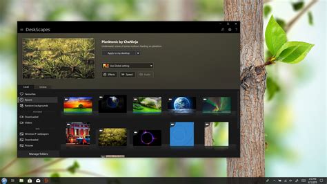 Animated Wallpapers for Windows : Stardock