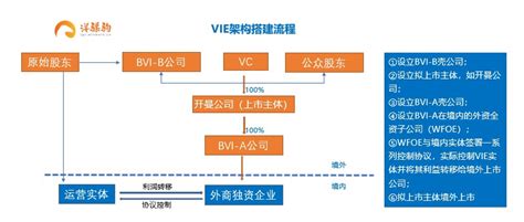 2024 年｜远程 BVI 公司注册场景分析及指南 - 旺旺来富